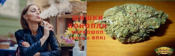 индика Арсеньев