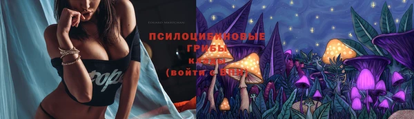 2c-b Армянск