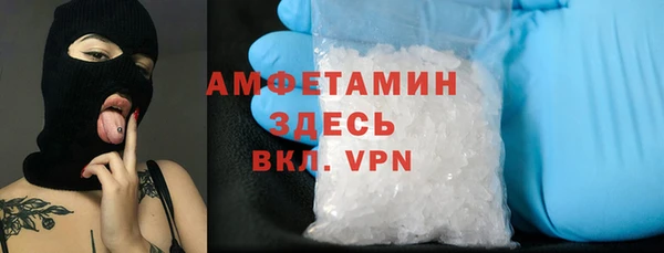 индика Арсеньев