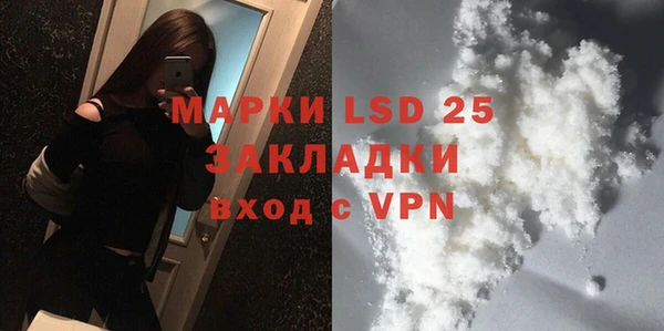 индика Арсеньев