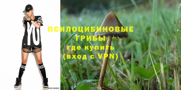 индика Арсеньев